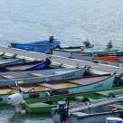 Les barques...